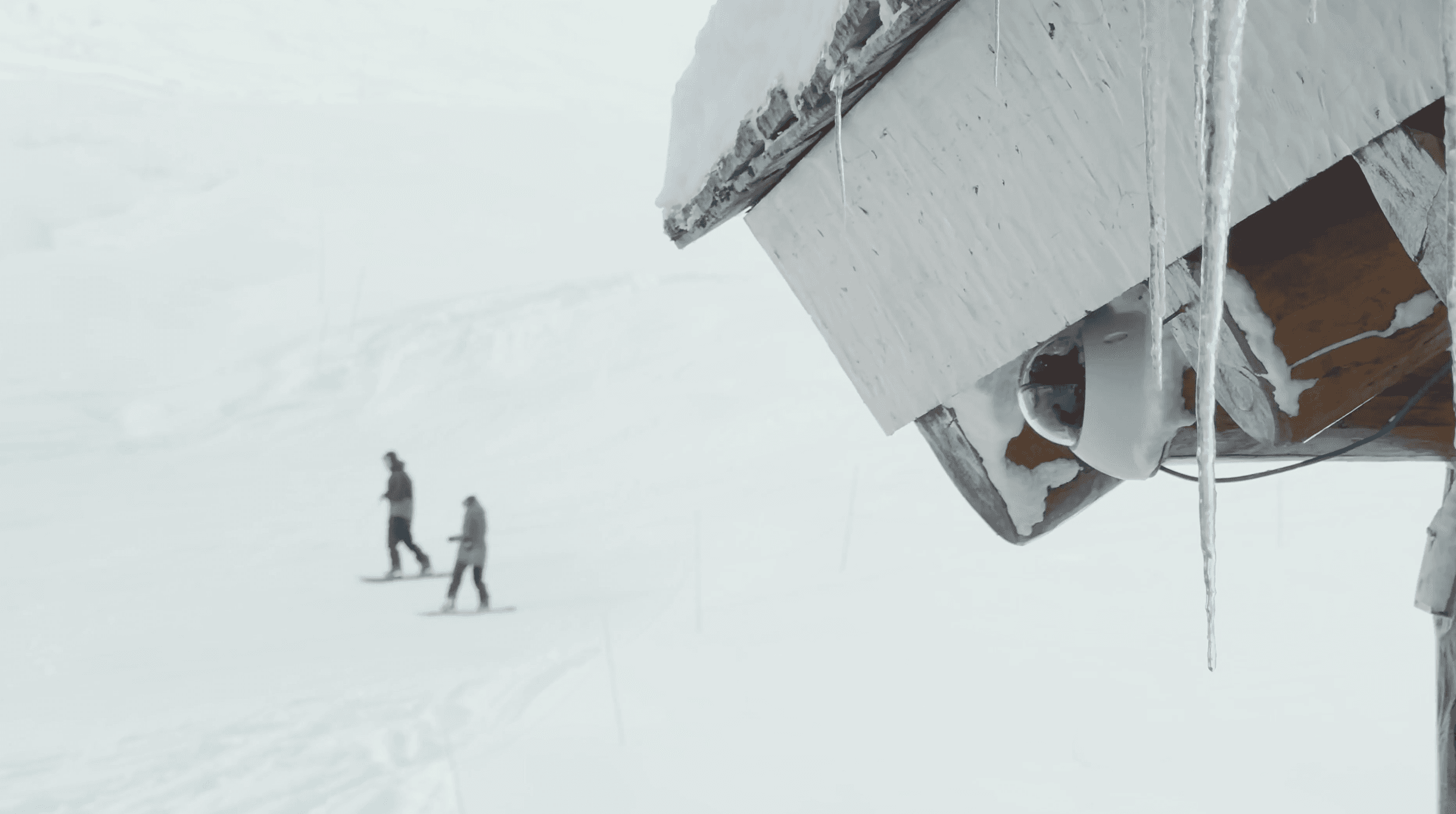 Ski