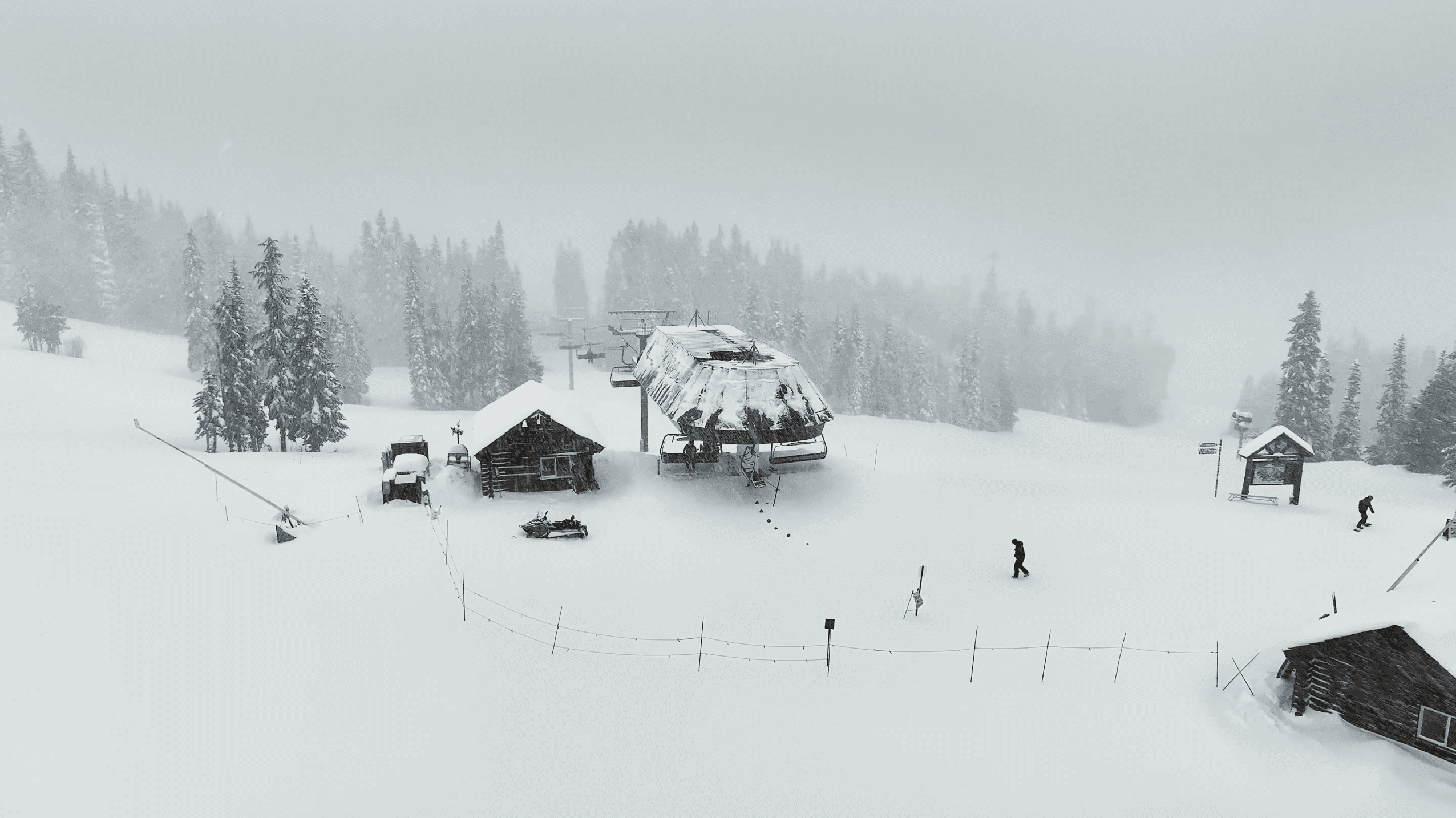 Mt Rainier