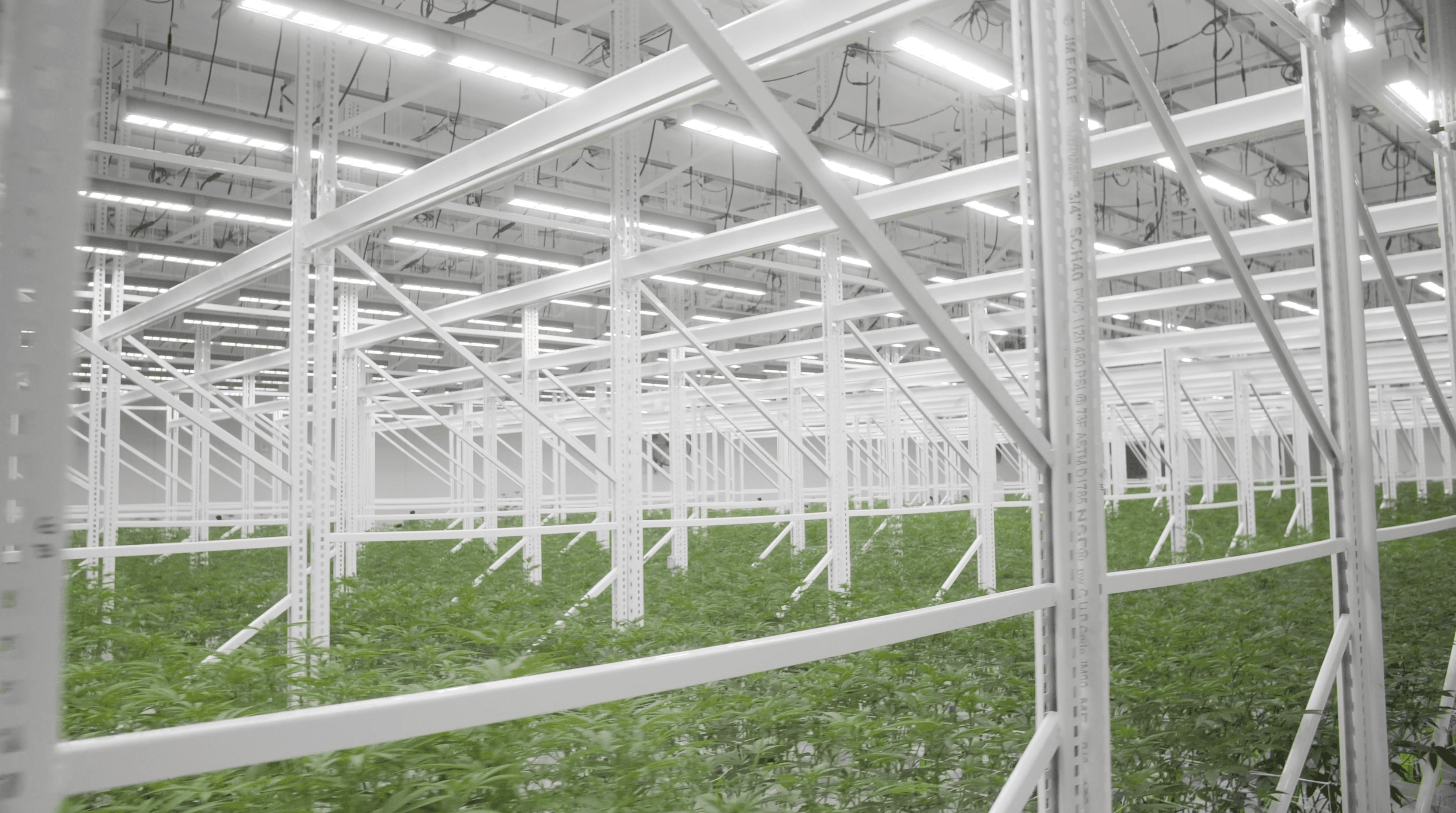 Cultivation Farm
